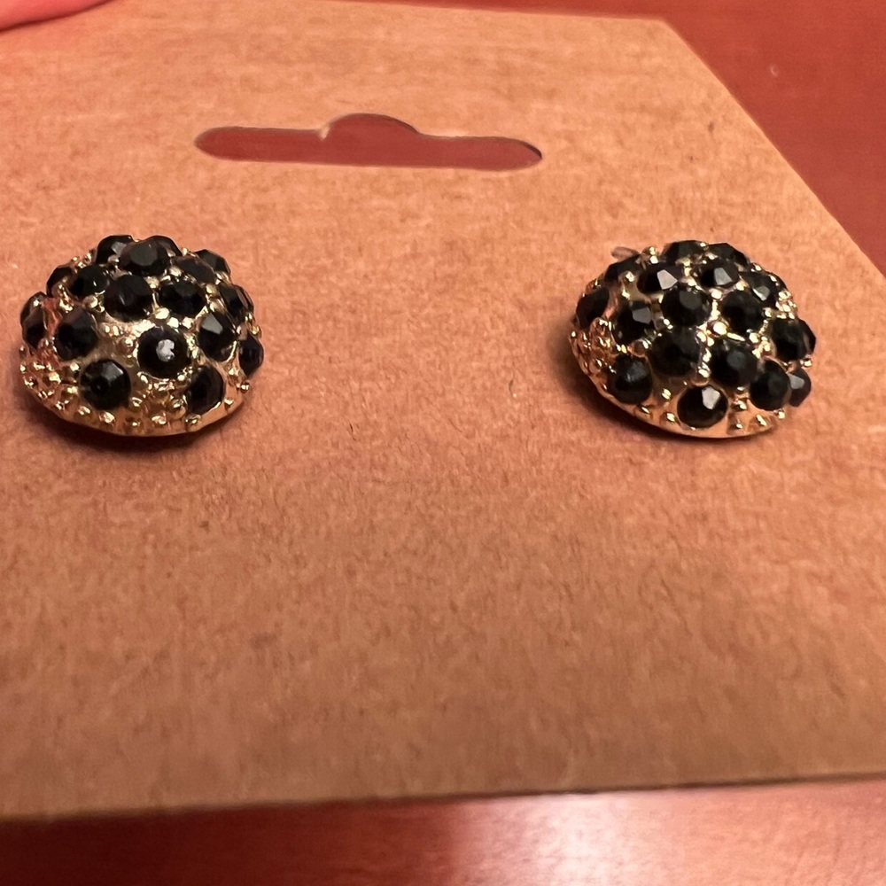 Gold and Black Stud Earrings